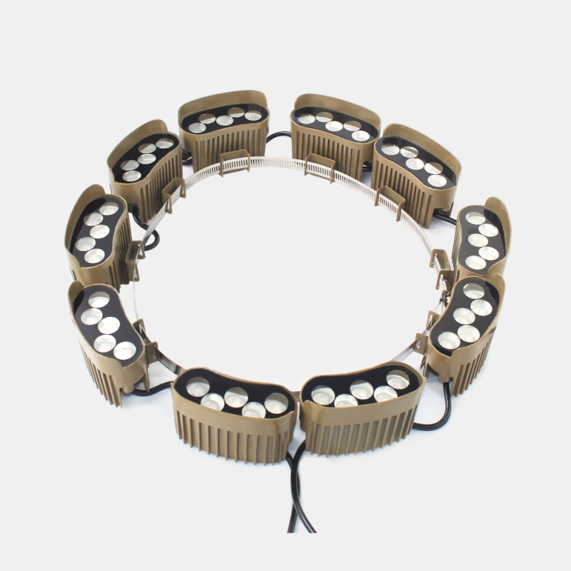 抱樹燈（dēng）