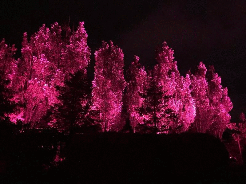 1668043834376596.gif 微信圖片_20221110082410.gif