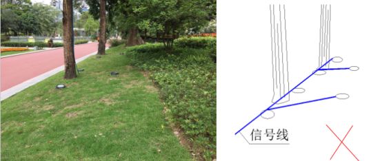 1668044271143248.jpg 007.jpg